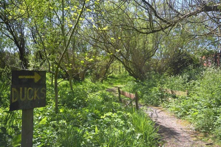 16G1 Hendy Tyddyn Mon Grounds 1 768x512