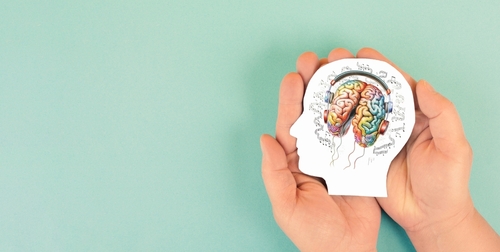picture of the brain