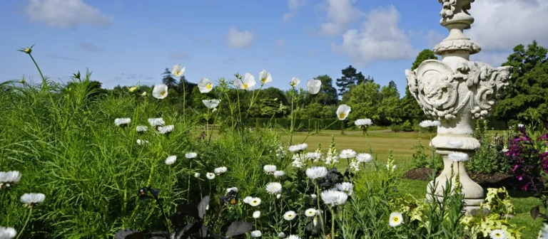 dyffryn gardens 1 1 768x336