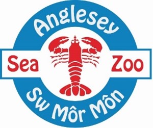 Picture of Anglesey Sea Logo