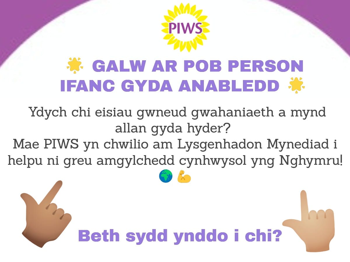 picture Access Ambassador promotional poster in Welsh