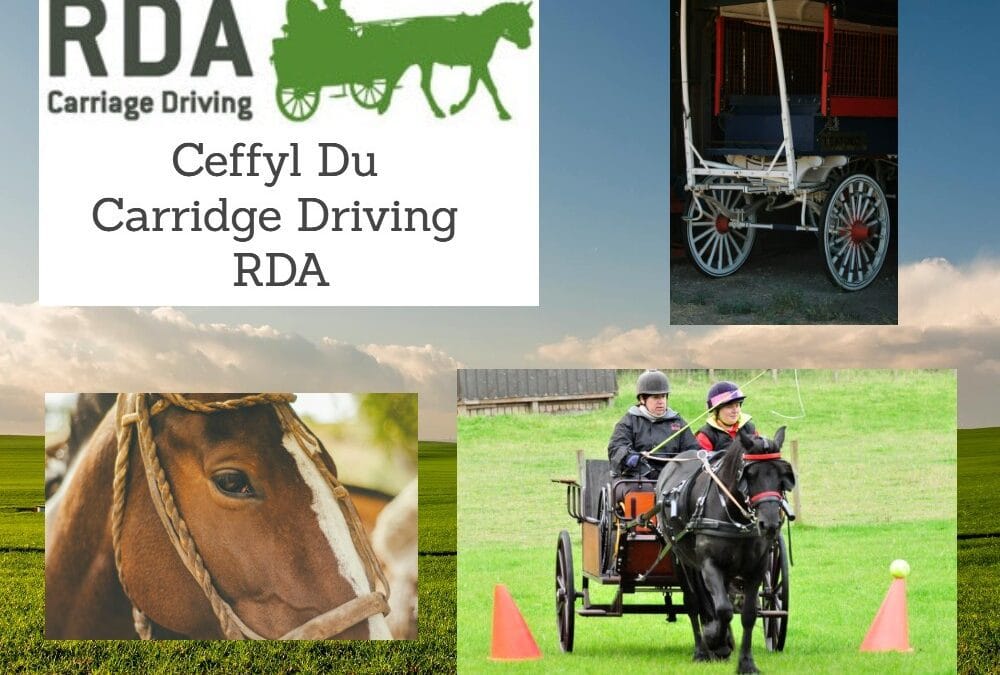 Ceffyl Du Carriadge Driving rda