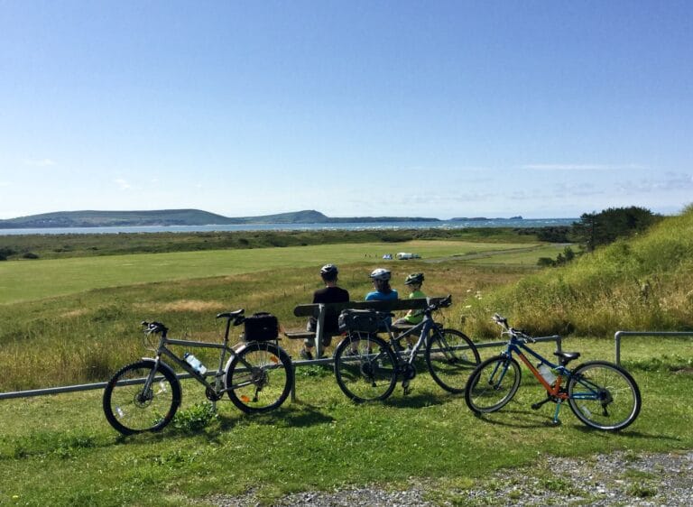 17015851 1210260435755361 8028685737724726396 o 768x562