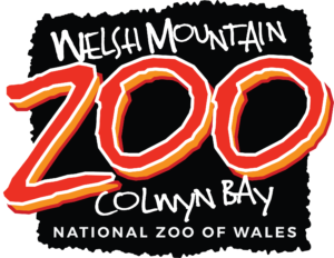 1 English WMZ logo 2019 300x232