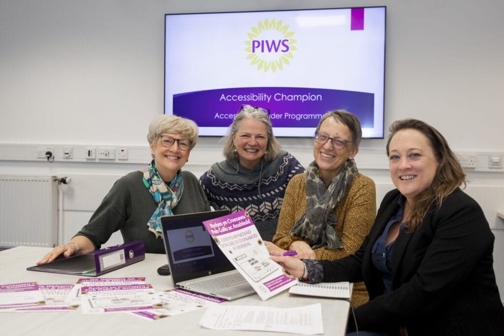 Picture of the Piws trainers