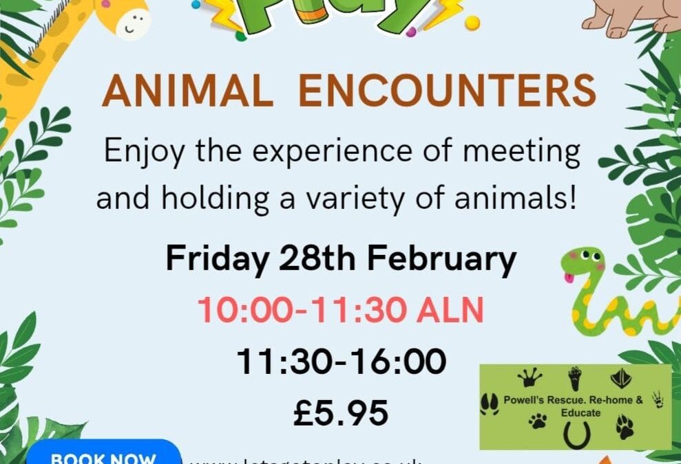 Animal Encounters