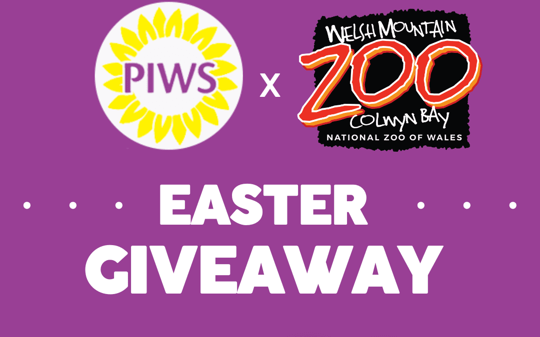 Win a Cracking Day Out with Our Egg-sessible Easter Giveaway!