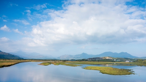 Picture: Cob Porthmadog