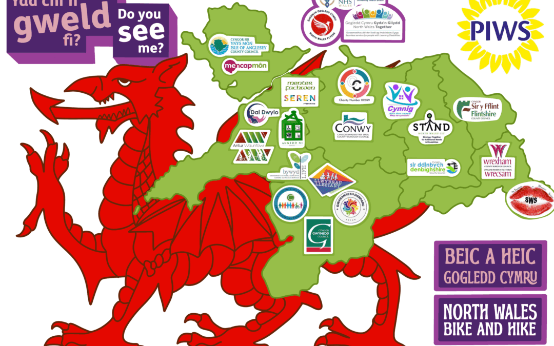 Learning Disability Week 2025 – Do you see me?