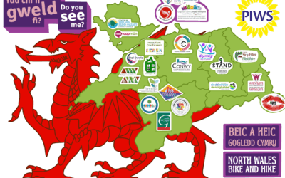 Wythnos Anabledd Dysgu 2025 – Ydych chi’n fy ngweld i?