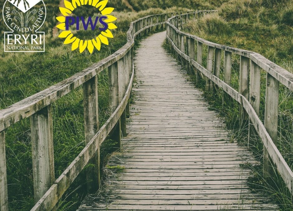 Accessibility in Tourism – Piws CEO joins The Eryri Podcast