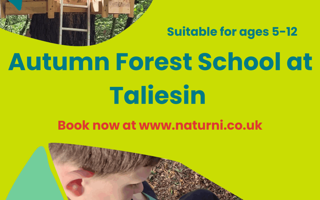 Autumn Forest School sessions-for ages 5-12