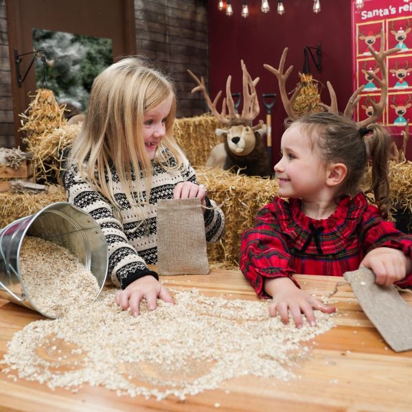 Dobbies Christmas 2025 144 a SA EDITS 1